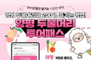 [경기티비종합뉴스] 양평군 전진선 군수, “두물머리만 보고 가긴 아쉽잖아!”…양평군, 양서·서종 관광지 잇는 ‘두물머리 투어패스’ 15일 출시