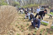 [경기티비종합뉴스] 화성특례시, 도시공원 내 ‘시민과 함께하는 초화정원 만들기’행사 실시