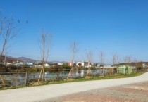 [경기티비종합뉴스] 용인특례시, 처인구 모현읍·기흥구 공세동에 가로숲길 조성