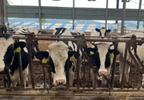 [경기티비종합뉴스] 용인특례시, 폭염 대비 가축 피해 예방에 16억 1100만원 지원