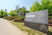 [경기티비종합뉴스] 오산시, 고인돌공원 모란 만개…도심 속 봄 정원 눈길