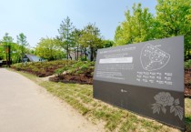 [경기티비종합뉴스] 오산시, 고인돌공원 모란 만개…도심 속 봄 정원 눈길