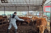 [경기티비종합뉴스] 용인특례시, 2026년 하반기 구제역 예방백신 접종