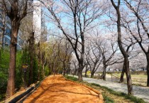 [경기티비종합뉴스] 하남시 이현재 시장, "다시 시작하는 맨발의 봄"… 하남시, 관내 맨발길 25개소 전격 개장