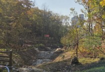 [경기티비종합뉴스] 용인특례시, 수지구 죽전동에 도시 숲 조성