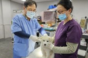 [경기티비종합뉴스] 용인특례시, 내달 광견병 예방접종 시행