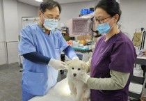 [경기티비종합뉴스] 용인특례시, 내달 광견병 예방접종 시행