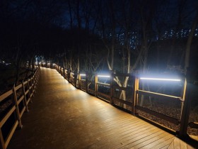 [경기티비종합뉴스] 용인특례시, 도심 속 힐링 공간 ‘서봉숲길 조성사업’ 마무리