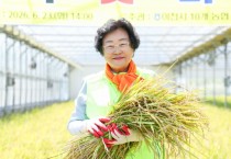 [경기티비종합뉴스] 이천시, 「전국 첫 벼베기 행사」 개최