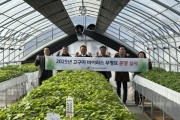 [경기티비종합뉴스] 여주시, 2025년 고구마 바이러스 무병묘 첫 분양 실시!