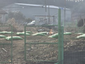 [경기티비종합뉴스] 경기도, 농업정책과 농촌 불법소각 막는다…경기도, 시군 합동점검으로 산불 예방 총력