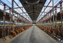 [경기티비종합뉴스] 안성시, 2025년 상반기 사료구매 정책자금 160억 지원