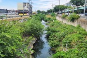 [경기티비종합뉴스] 용인특례시, 기흥호수 유입되는 완기천 수질 개선 나선다
