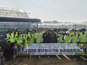 [경기티비종합뉴스] 농협중앙회 경기본부, 포도농가에서 농촌일손돕기 실시