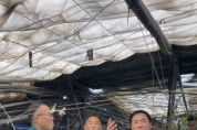 [경기티비종합뉴스] 평택시, 행정안전부 안전차관 대설 피해지역 현장점검  피해 농가 위문 및 지원방안 논의