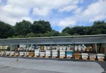 [경기티비종합뉴스] 용인특례시, ‘2025년 양봉산업 육성사업’ 참여 농가 모집