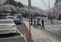 [경기티비종합뉴스] 이천시, 설봉공원 벚꽃 만개… 상춘객 발길 이어져 “주말 4만 명 이상 방문, 안전관리 총력”