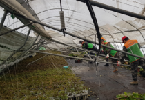 [경기티비종합뉴스] 용인특례시, 폭설 피해 입은 남사화훼단지 긴급 복구작업에 자율방재단 지원