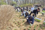 [경기티비종합뉴스] 화성특례시, 도시공원 내 ‘시민과 함께하는 초화정원 만들기’행사 실시