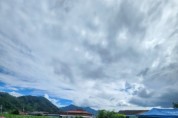 [경기티비종합뉴스] 제천시 백운면 박달재전통시장 상인회, 평동리에 연꽃밭 조성