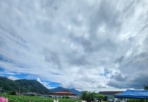 [경기티비종합뉴스] 제천시 백운면 박달재전통시장 상인회, 평동리에 연꽃밭 조성