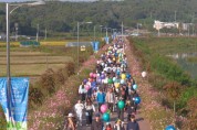 [경기티비종합뉴스] 이천시, 제4회 호법코스모스꽃축제, 가을 정취 속 성황리 개최