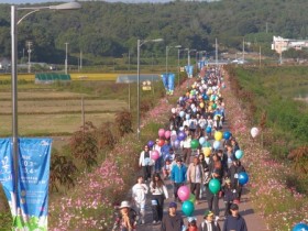 [경기티비종합뉴스] 이천시, 제4회 호법코스모스꽃축제, 가을 정취 속 성황리 개최