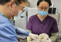 [경기티비종합뉴스] 용인특례시, 4월 한 달 동안 상반기 광견병 예방접종 진행