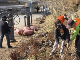 [경기티비종합뉴스] 수원특례시의회 김은경 의원, 수원천변 철쭉 3,000주 식재,  “시민과 함께 만드는 아름다운 수원천”