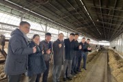 [경기티비종합뉴스] 경기도의회 이오수 의원, 여주·이천 축산농가 방문…가축분뇨 자원화 및 악취 저감 대책 논의