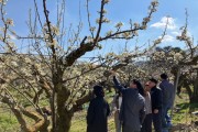 [경기티비종합뉴스] 이천시, 과수 개화기 이상기상 대응을 위해 관계기관과 합동점검 나서