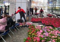 [경기티비종합뉴스] 용인특례시, ‘나무 나누어 주기’ 행사 개최