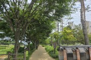[경기티비종합뉴스] 경기도 ‘평택 바람길숲’, 산림청 선정 ‘산책하기 좋은 도시숲’