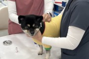 [경기티비종홥뉴스] 용인특례시, 반려견 광견병 예방접종