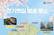 [경기티비종합뉴스] 경기옛길 따라 벚꽃명소 13곳 선정  “봄날 걷기 좋은 역사문화탐방로”