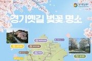 [경기티비종합뉴스] 경기옛길 따라 벚꽃명소 13곳 선정  “봄날 걷기 좋은 역사문화탐방로”
