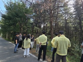 [경기티비종합뉴스] 오산시 소나무재선충병 발생…경기도, 긴급방제대책회의 열어 총력 대응