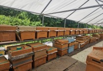 [경기티비종합뉴스] 용인특례시, 양봉산업 육성 위해 4억원 지원