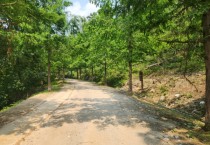 [경기티비종합뉴스] 용인특례시, 처인·기흥 일원 숲길 3곳 정비 완료