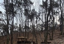 [경기티비종합뉴스] 용인특례시 수지구, 광교산 숲길·행복언덕쉼터 정비 나서