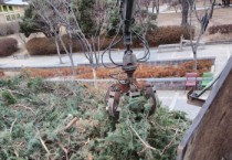 [경기티비종합뉴스] 수원시, 임목(林木)폐기물이 자원으로 재탄생! 임목폐기물 무상처리 사업으로 700t 수거·처리