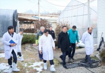 [경기티비종합뉴스] 오후석 경기도 행정2부지사  여주시 대설피해 축산농가 방문