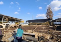 [경기티비종합뉴스] 안성시, 축산농가 대설피해 재난복구비 지급