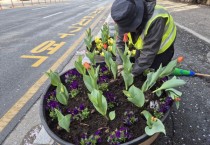 [경기티비종합뉴스] 용인특례시 수지구, 화사한 계절꽃으로 거리 단장한다