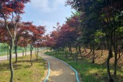 [경기티비종합뉴스] 경기도, 올해 427억 투입해 도시숲 37만5천㎡ 조성