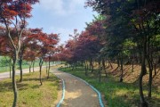 [경기티비종합뉴스] 경기도, 올해 427억 투입해 도시숲 37만5천㎡ 조성