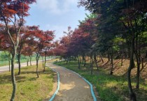[경기티비종합뉴스] 경기도, 올해 427억 투입해 도시숲 37만5천㎡ 조성