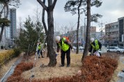 [경기티비종합뉴스] 수원특례시 팔달구 황규돈 구청장, 소나무 재선충병 방제완료