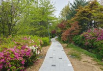 [경기티비종합뉴스] 용인특례시 수지구, 숲과 녹지가 어우러진 산책 도시 만든다.