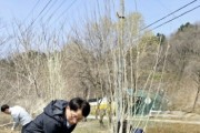 [경기티비종합뉴스] 광주도시관리공사, 최찬용 사장과 함께 탄소중립 실천 위한 식목행사 실시